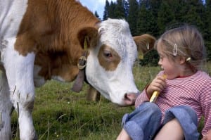 ©Bettina Brinkmann/MAXPPP, Allemagne,Baviere, /2005/08/09 - ILLUSTRATION enfant et animaux vache, Brauneck en Baviere ****AUTORISATION OK****