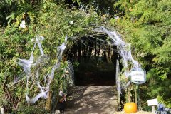 Halloweem-Birkegaardens-Haver-okt-24-abw-33-scaled