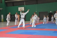soroe-taekwondo-pressefoto-4