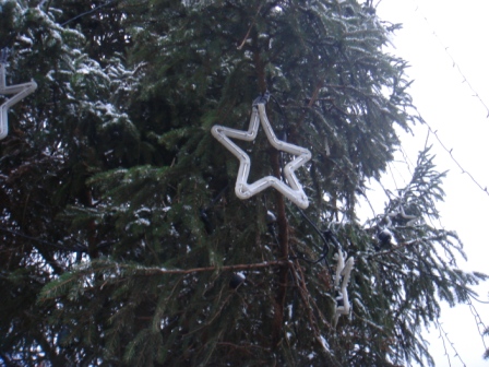 Stjerner på juletræet