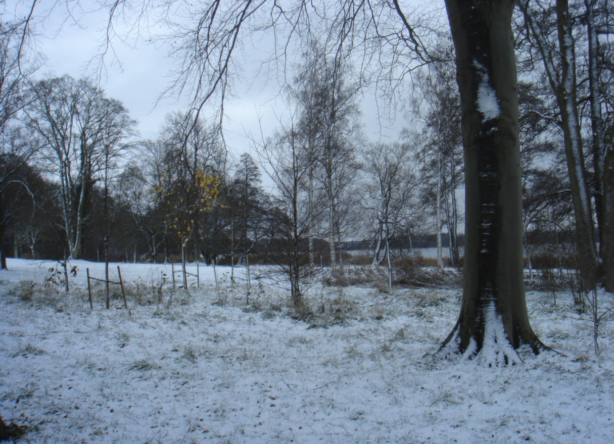 Der er sne nok i Sorø - men ingen bakker