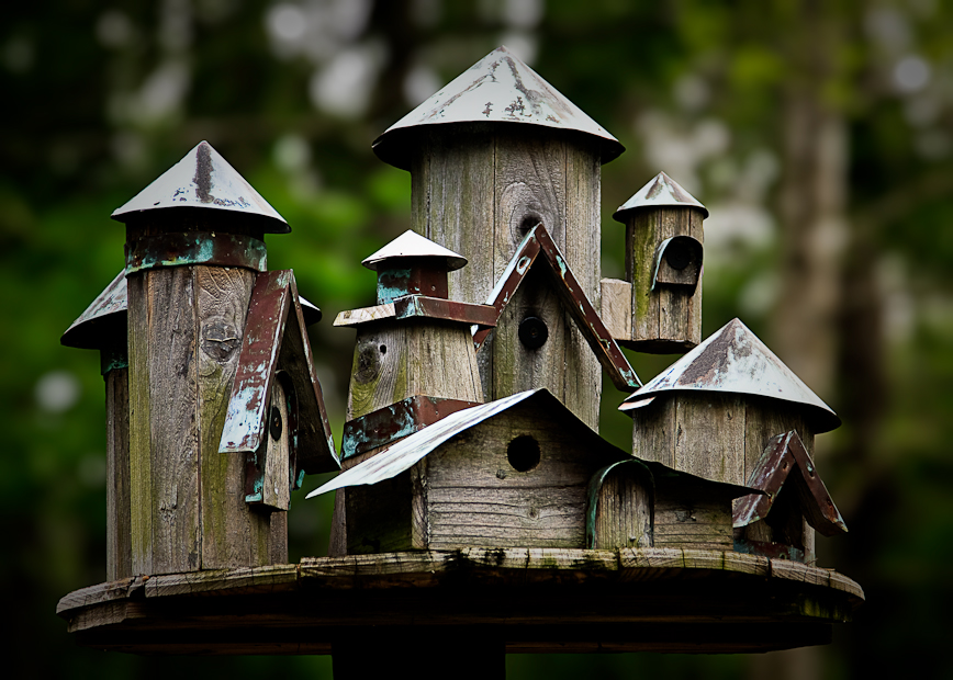 Et hus til fuglene