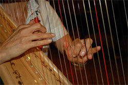 Aftensang og harpemusik