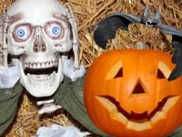 Halloween-løjer i Birkegårdens Haver