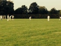 Cricket kamp sommer 2014, Sorø Akademi.