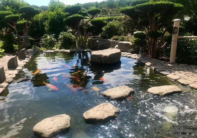 En tur til Zen-Garden