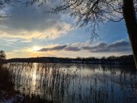 Vinter ved Pedersborg Sø