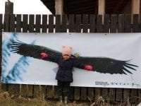 Foto: Kongskilde Naturcenter