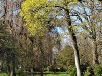 Sorø Akademihave er et dejligt sted at gå tur. Foto: ABW