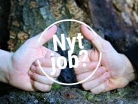 Naturpark Åmosen søger ny daglig leder