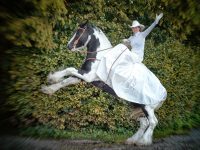 Yee-haa! Så er der Western Weekend i Birkegårdens Haver!