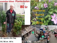 Midtsjællands Planteskole fejrer fødselsdag