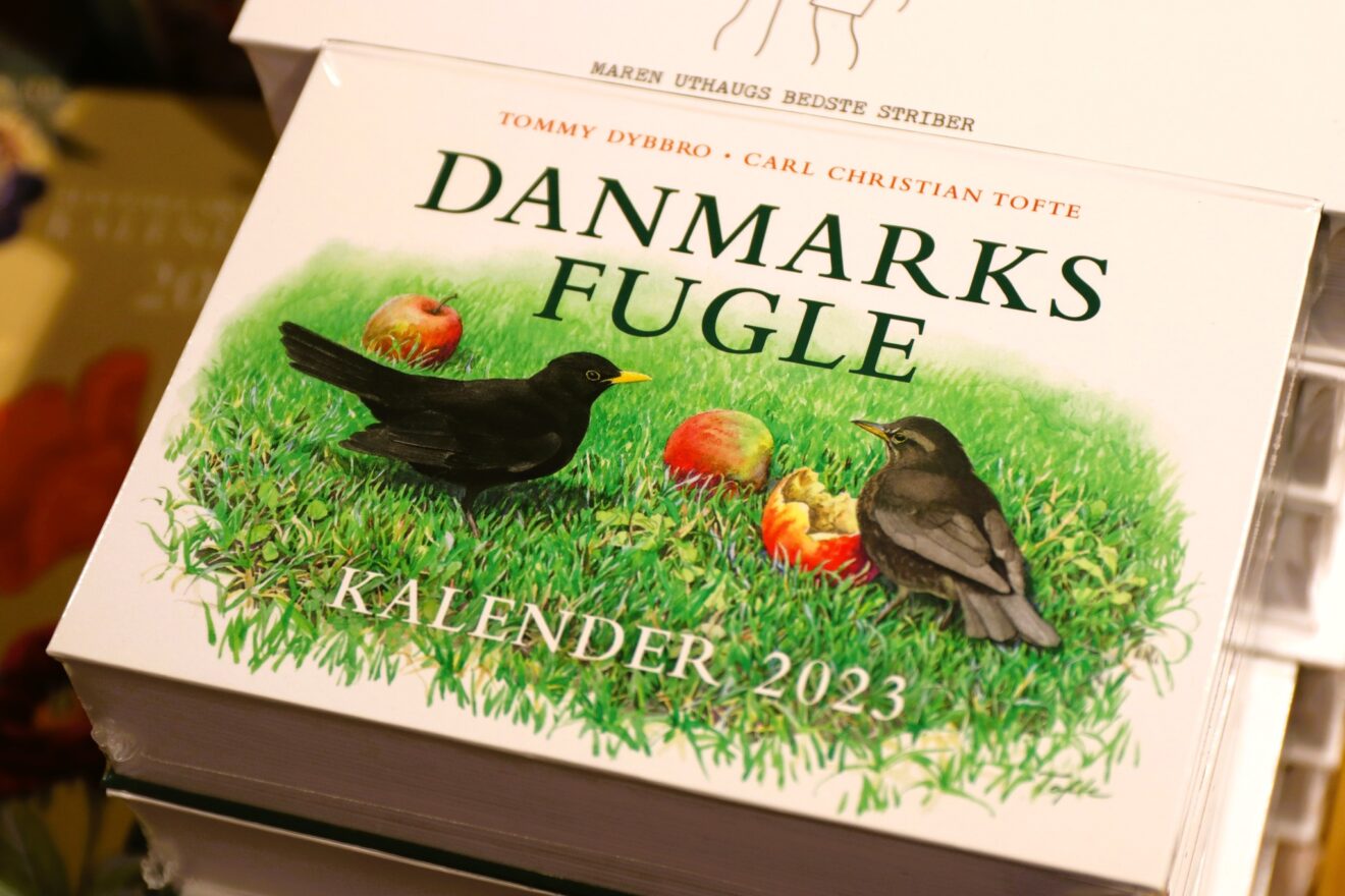 Danmarks fugle - kalender 2023
