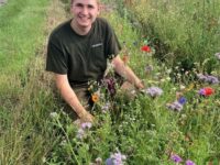 19-årig landmand sår blomsterstriber på hele Sjælland