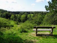 Den pragtfulde udsigt fra Maglebjerget over Maglebjerg Mose og Naturpark Åmosen. Foto: Rolf Lehrmann