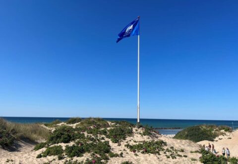 Her er Danmarks 219 strande og havne med Blå Flag og Badepunkt 2024