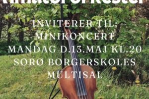 Sorø Amatørorkester inviterer til mini-koncert