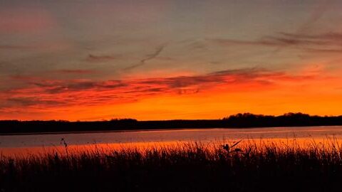 Solnedgang ved Sorø Sø