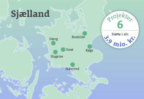 De 41 projekter grønne mødesteder fordeler sig over hele landet. Seks af dem ligger i Region Sjælland.